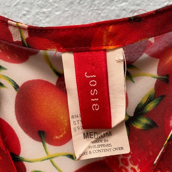 Natori Intimates Sheer Strawberry Dress - Picture 7 of 8